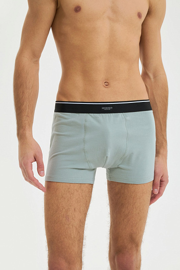 Набор трусов (2 шт. в комплекте)